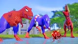 侏罗纪世界动画：美国队长暴龙大战蜘蛛侠暴龙，哥斯拉恐龙大战