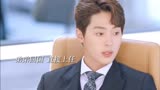 我的老板为何那样：人前霸总，人后弟控