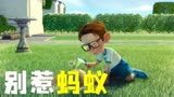 千万不要招惹蚂蚁 否则会被蚂蚁抓走《别惹蚂蚁》