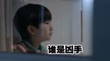 学生亲眼目睹老师被害，却选择隐瞒真相《谁是凶手》