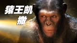 这是一只会说话的猩猩，也是最霸气的猩猩，科幻巨作《猩球崛起》