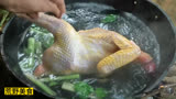 白开水煮的鸡，会好吃吗？#荒野美食 #户外求生技巧 #荒野生存