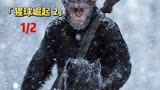 暑假必看电影，猩球崛起系列，人类和猿族的生存之道！