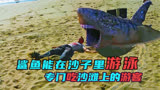 惊悚电影《沙海狂鲨》，鲨鱼游走于沙滩，狂吃游客