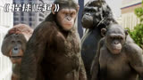 《猩球崛起》当猩猩有了自我保护意识，人类将会面临一场灾难