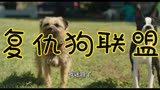 复仇狗联盟 中国台湾预告片1 (中文字幕)
