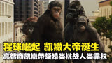 《猩球崛起》-凯撒大帝诞生：高智商黑猩猩带领猿族挑战人类霸权