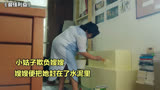 别欺负老实人，不然你连后悔的机会都没有，电影《最佳利益》