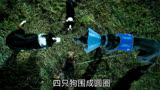 2024动物喜剧片，狗子们的复仇之路  ＃快看海外片   ＃复仇狗联盟 2/2