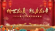 传世龙麦 魅力龙年 2024 魅力三晋春节大联欢网络