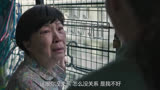 可笑，q j 别人的人不被耻笑，反而被q j 的人被人耻笑