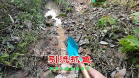 山间小河沟引流抓鱼，500块买高科技眼睛，差点闹出了乌龙！