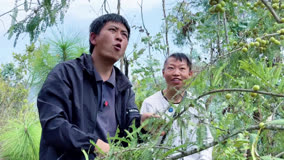 农村媳妇不在家，带女粉丝爬山摘野果，吃在嘴里甜到心里