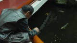 还是老演员有实力