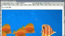 asp网站制作实例教程