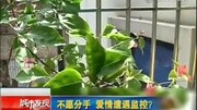 男子为留住女友将两人床上私密录音放给她爸听资讯搜索最新资讯爱奇艺