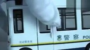 淘宝金酷娃玩具 流动警察110 执法车 合金汽车母婴高清正版视频在线观看–爱奇艺