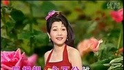 【视频】粤剧粤曲 粤韵小调『情花开』(胡美仪 主唱;撷自:胡美仪 粤调名曲~卡拉OK第一辑)音乐背景音乐视频音乐爱奇艺