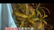 杨丞琳《小茉莉》(2007电影刺青插曲)娱乐完整版视频在线观看爱奇艺