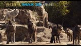 《奇幻森林》中文IMAX特别版预告片