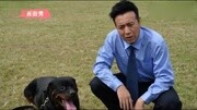 电视剧《警花与警犬》樱桃命悬一线 侯梦莎忍不住哭了娱乐高清正版视频在线观看–爱奇艺