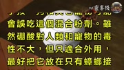 蟑螂一次产卵数百只,你家床底一定有!生活完整版视频在线观看爱奇艺