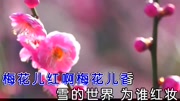 梅朵梅花香MTV音乐背景音乐视频音乐爱奇艺