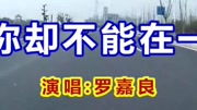 不是不爱你《爱你却不能在一起》好伤感啊音乐完整版视频在线观看爱奇艺