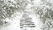 纯音乐 深山禅林 山林古城雪景 愁烦来听此曲,游如在飘在莲花上音乐背景音乐视频音乐爱奇艺