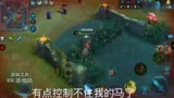 【晨溪】王者荣耀搞笑视频 三国演义就是这么干的！