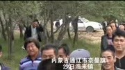 荆门粮喜爱复合肥田间回访之内蒙古玉米效果展示广告完整版视频在线观看爱奇艺