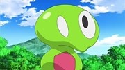 蕥瑝氐