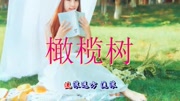 天籁之音演唱《橄榄树》,百听不厌 循环老歌 新唱不同的味道!音乐背景音乐视频音乐爱奇艺