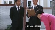 小镇大法官 07 林永健 Cut2电视剧全集完整版视频在线观看爱奇艺