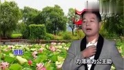 潮曲18.祝君再造艳阳天《Ok版本》音乐背景音乐视频音乐爱奇艺