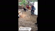 《活佛济公4》陈浩民版 拍摄现场道济,你又调皮了!娱乐完整版视频在线观看爱奇艺