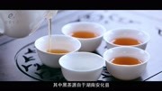 千年醇香 安化黑茶生活完整版视频在线观看爱奇艺