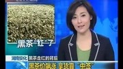 21世纪健康饮品资讯搜索最新资讯爱奇艺