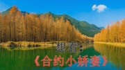 《合约小娇妻》最新章节免费阅读02生活高清正版视频在线观看–爱奇艺