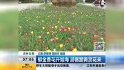 [新闻早报吉林]吉林长春 郁金香花开如海 游客踏青赏花来资讯搜索最新资讯爱奇艺