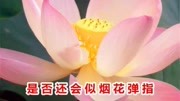 陈瑞一首伤感情歌《心中刻上你的名字》2017年必火音乐背景音乐视频音乐爱奇艺