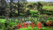 《对月吟歌醉一生》46大结局 最新章节 全文免费阅读广告完整版视频在线观看爱奇艺