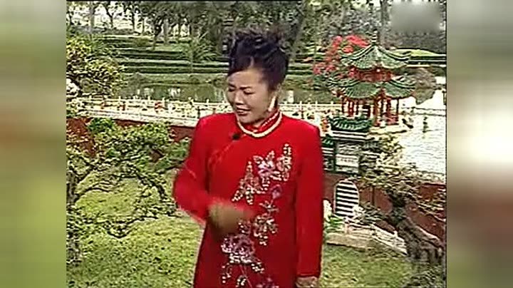                  河南坠子大红袍