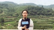 黑山村里的“镇村石”“定海神龟”“泰山墨玉”大有来头旅游完整版视频在线观看爱奇艺