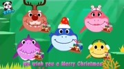宝宝巴士 欢乐圣诞 鲨鱼一家过圣诞节-0