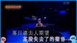 袁凤瑛《天若有情》电视剧《雪山飞狐》片尾曲