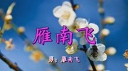 网络情歌《雁南飞》嗓音诱人,超赞音乐高清MV在线观看–爱奇艺