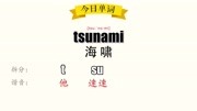 超级记忆之单词记忆 tsunami海啸知识名师课堂爱奇艺