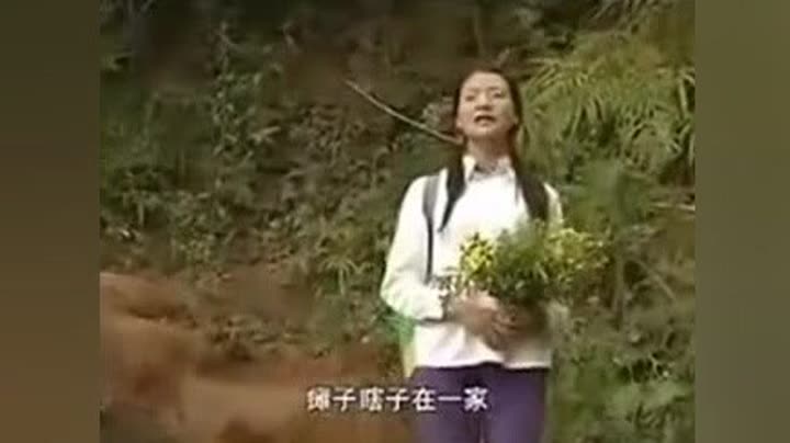 云南山歌剧【桃花女人】 贵州山歌-毛家超 高碧波