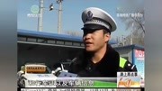 男子无证驾驶被交警拦下,车内“乘客”竟是一匹狼电影完整版视频在线观看爱奇艺